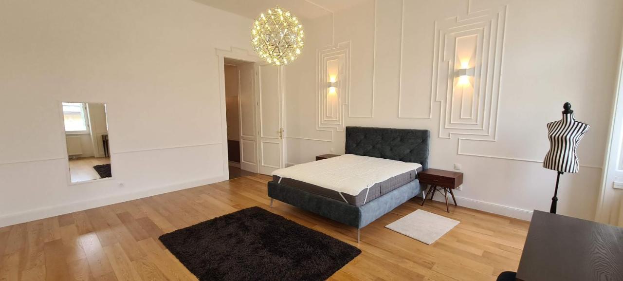 Walking Street Luxurious Huge Apartment Budapest Extérieur photo