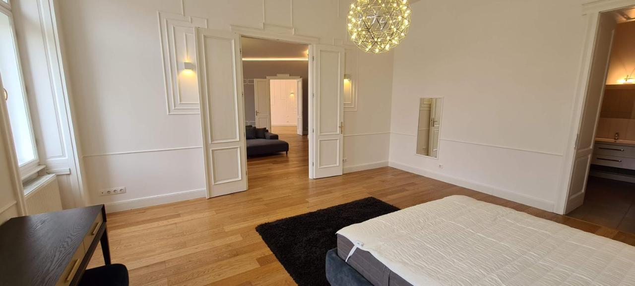 Walking Street Luxurious Huge Apartment Budapest Extérieur photo